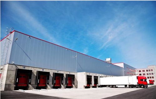 成都至揭阳货运时效解析与行业动态